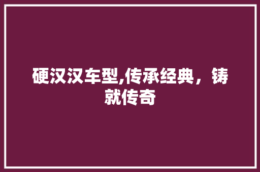 硬汉汉车型,传承经典，铸就传奇