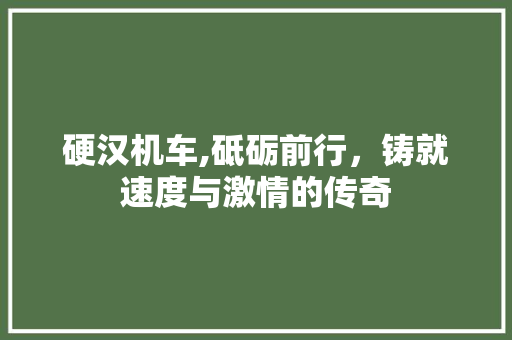 硬汉机车,砥砺前行，铸就速度与激情的传奇