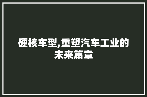 硬核车型,重塑汽车工业的未来篇章
