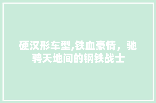 硬汉形车型,铁血豪情，驰骋天地间的钢铁战士