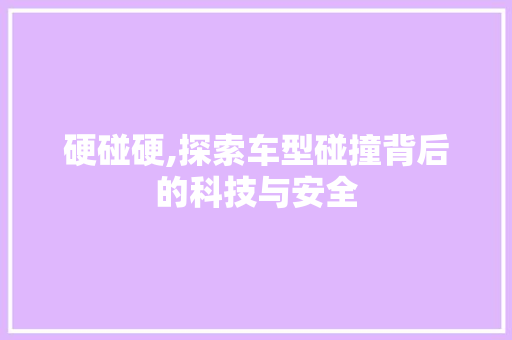 硬碰硬,探索车型碰撞背后的科技与安全