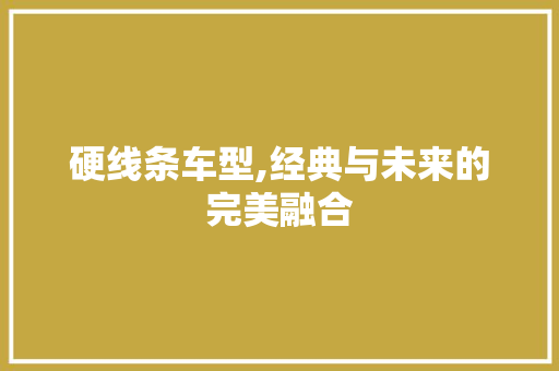 硬线条车型,经典与未来的完美融合