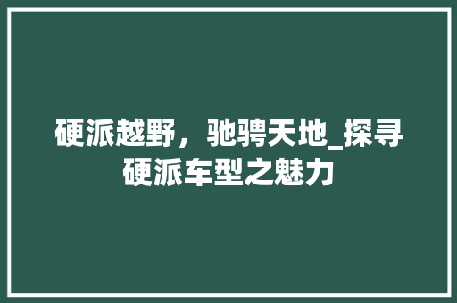 硬派越野，驰骋天地_探寻硬派车型之魅力