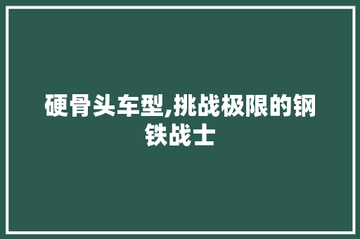 硬骨头车型,挑战极限的钢铁战士