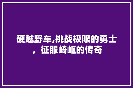 硬越野车,挑战极限的勇士，征服崎岖的传奇