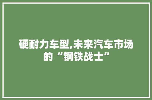 硬耐力车型,未来汽车市场的“钢铁战士”