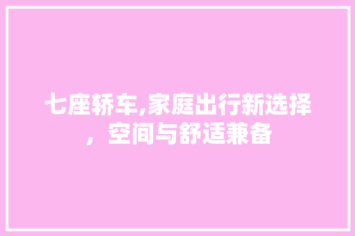 七座轿车,家庭出行新选择，空间与舒适兼备