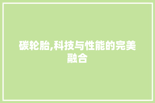 碳轮胎,科技与性能的完美融合