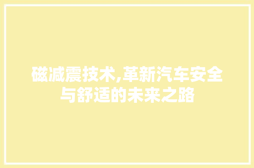 磁减震技术,革新汽车安全与舒适的未来之路