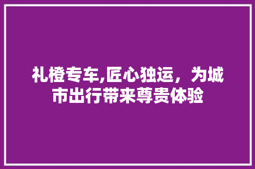 礼橙专车,匠心独运，为城市出行带来尊贵体验