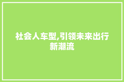社会人车型,引领未来出行新潮流