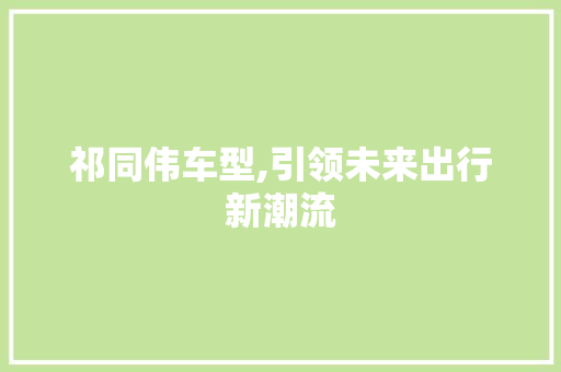 祁同伟车型,引领未来出行新潮流