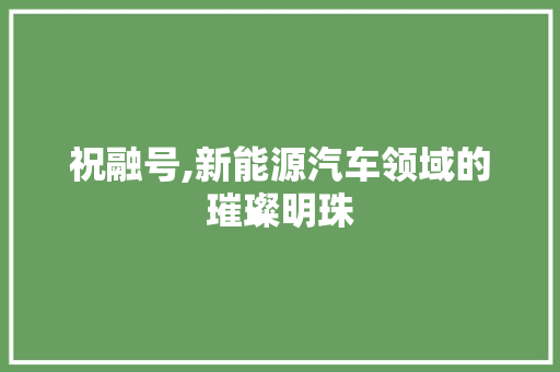 祝融号,新能源汽车领域的璀璨明珠