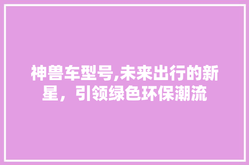 神兽车型号,未来出行的新星，引领绿色环保潮流