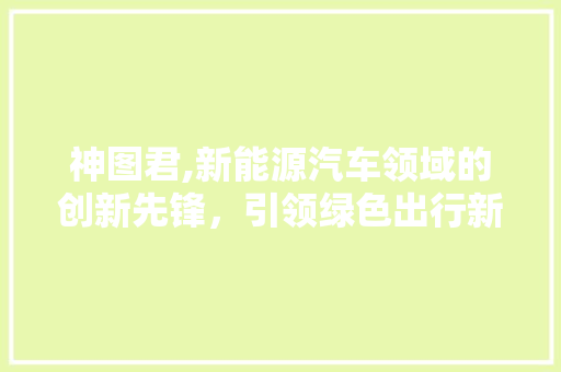 神图君,新能源汽车领域的创新先锋，引领绿色出行新风尚