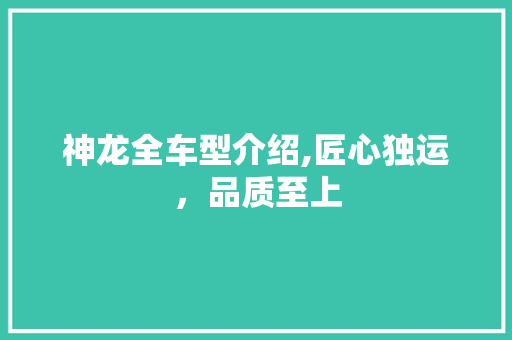 神龙全车型介绍,匠心独运，品质至上