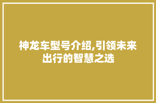 神龙车型号介绍,引领未来出行的智慧之选