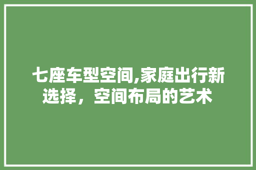 七座车型空间,家庭出行新选择，空间布局的艺术