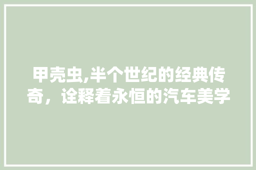 甲壳虫,半个世纪的经典传奇，诠释着永恒的汽车美学