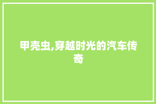 甲壳虫,穿越时光的汽车传奇