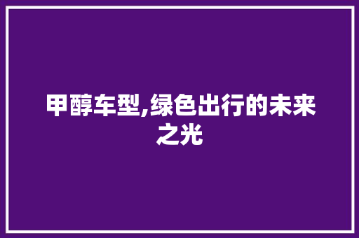 甲醇车型,绿色出行的未来之光