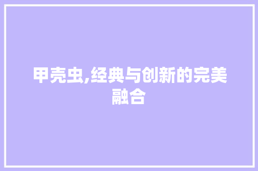 甲壳虫,经典与创新的完美融合