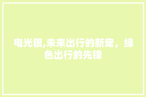 电光银,未来出行的新宠，绿色出行的先锋