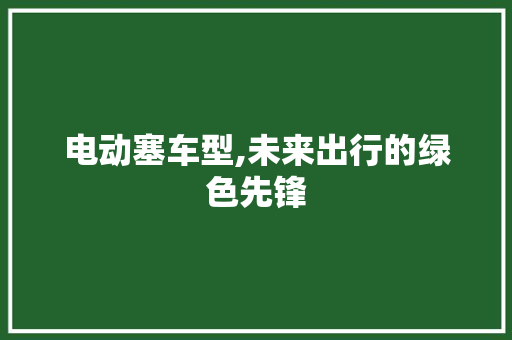 电动塞车型,未来出行的绿色先锋