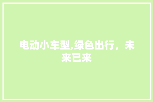 电动小车型,绿色出行，未来已来