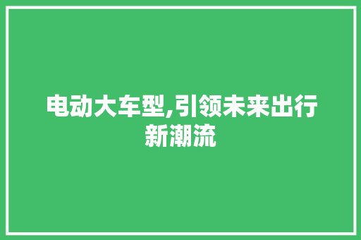 电动大车型,引领未来出行新潮流