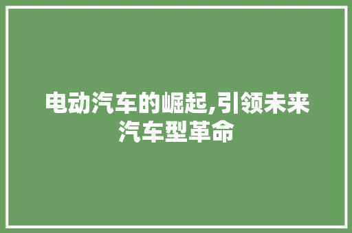 电动汽车的崛起,引领未来汽车型革命