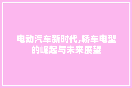 电动汽车新时代,轿车电型的崛起与未来展望