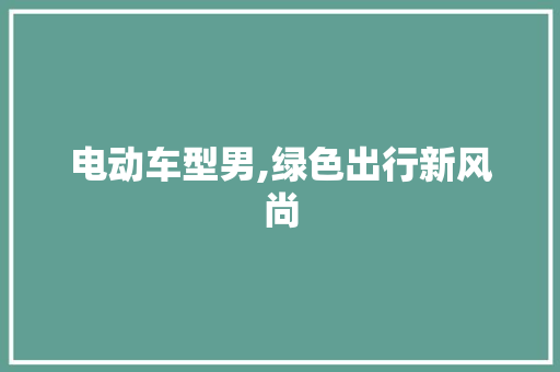 电动车型男,绿色出行新风尚