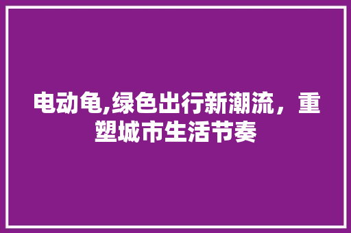 电动龟,绿色出行新潮流，重塑城市生活节奏
