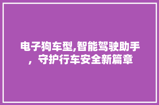 电子狗车型,智能驾驶助手，守护行车安全新篇章
