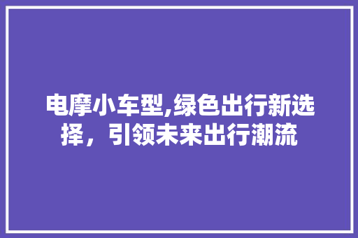 电摩小车型,绿色出行新选择，引领未来出行潮流