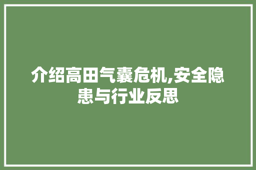 介绍高田气囊危机,安全隐患与行业反思
