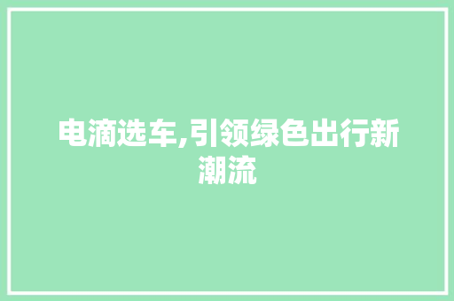 电滴选车,引领绿色出行新潮流