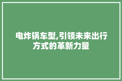 电炸锅车型,引领未来出行方式的革新力量