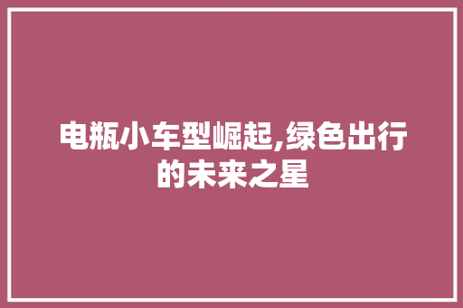 电瓶小车型崛起,绿色出行的未来之星