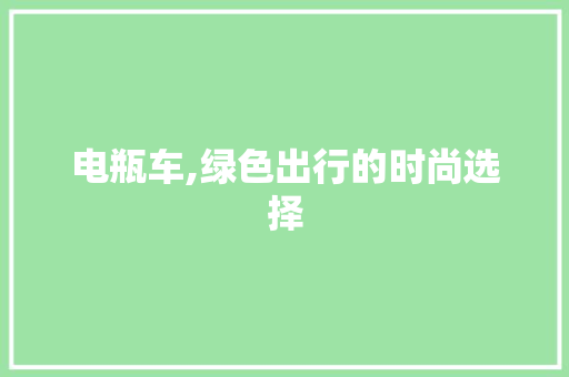 电瓶车,绿色出行的时尚选择