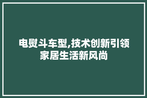 电熨斗车型,技术创新引领家居生活新风尚
