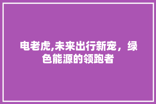电老虎,未来出行新宠，绿色能源的领跑者