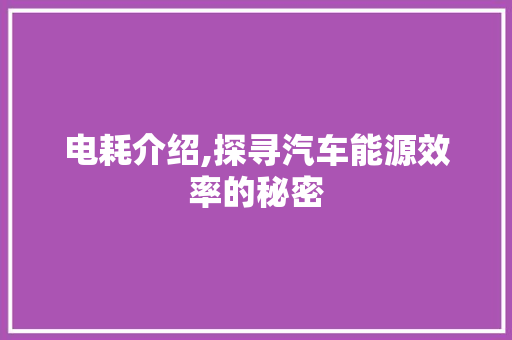 电耗介绍,探寻汽车能源效率的秘密