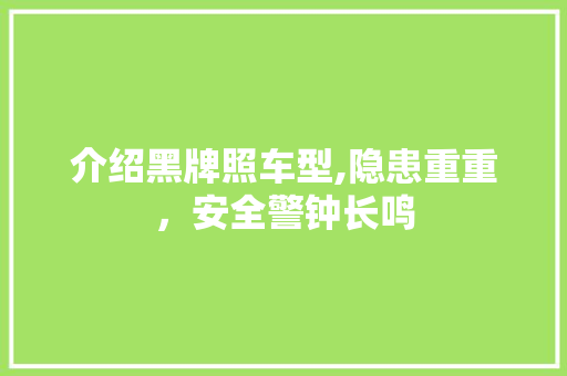 介绍黑牌照车型,隐患重重，安全警钟长鸣