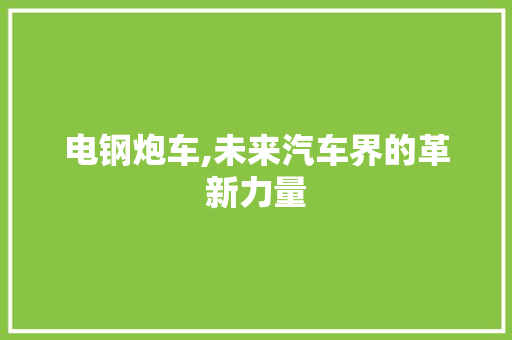 电钢炮车,未来汽车界的革新力量