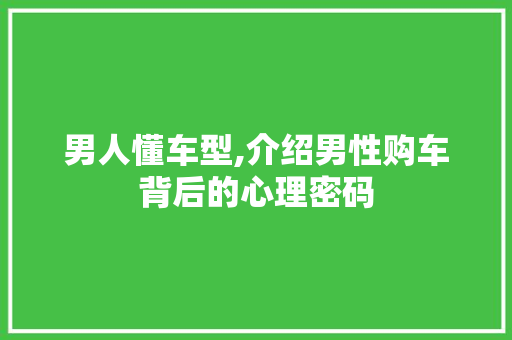 男人懂车型,介绍男性购车背后的心理密码