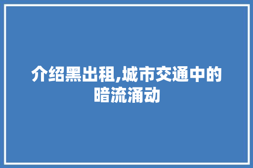 介绍黑出租,城市交通中的暗流涌动