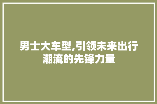 男士大车型,引领未来出行潮流的先锋力量