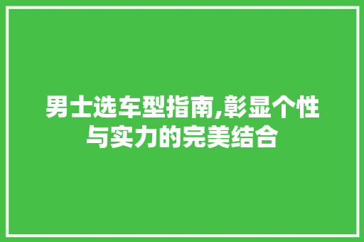 男士选车型指南,彰显个性与实力的完美结合 汽车配件